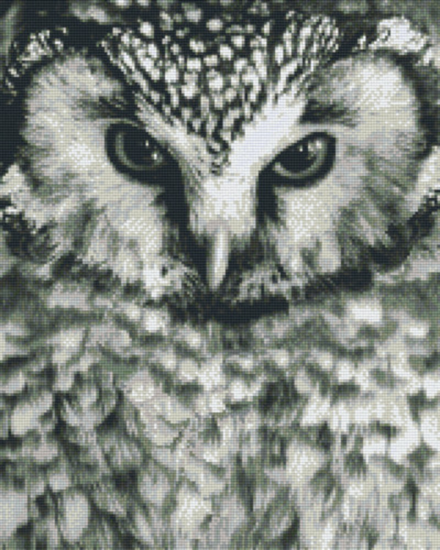 Black And White Owl Sixteen [16] Baseplate PixelHobby Mini-mosaic Art Kit image 0